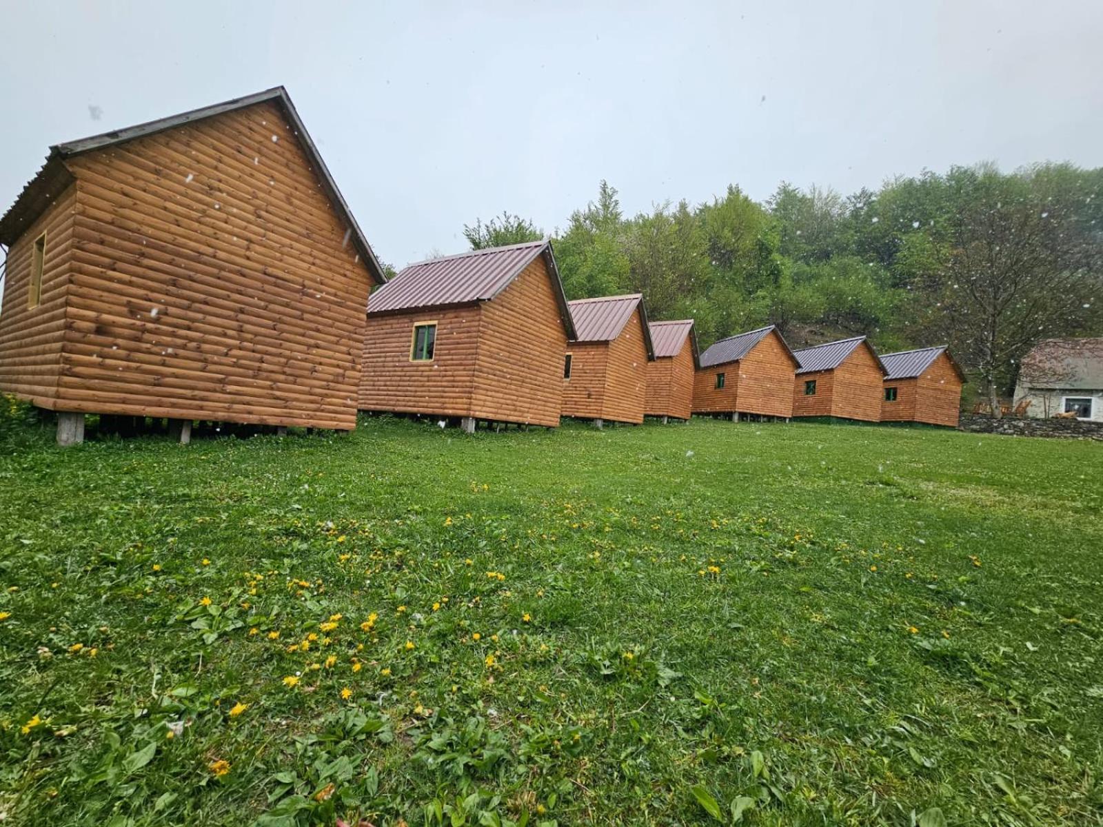 Bujtina Zemra Tradites Теті Номер фото